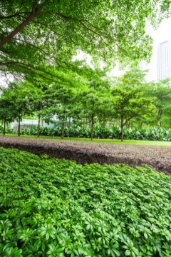 Créez une palette végétale adaptée à votre sol, votre climat et votre style de jardin avec un paysagiste concepteur Kelkun