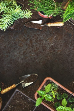 Aménager un petit jardin, une cour ou un toit-terrasse avec un paysagiste concepteur Kelkun