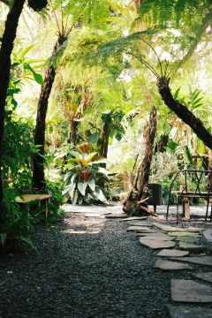 Gagnez du temps pour votre permis avec un pro qui prépare le dossier paysager et échange avec l’urbanisme