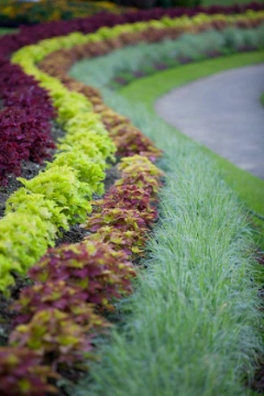 Faites construire une palette végétale et un plan de plantation sur mesure par un paysagiste concepteur grâce à Kelkun
