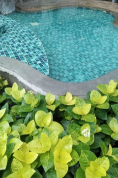 Trouvez rapidement un professionnel pour aménager les abords de votre piscine