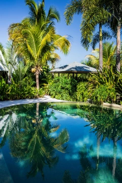 Piscine naturelle : prix, fonctionnement et création. Comparez les solutions et trouvez un professionnel pour réaliser votre bassin écologique