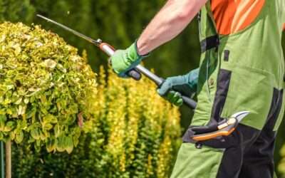 Combien coûte l’entretien d’un jardin à l’année ?