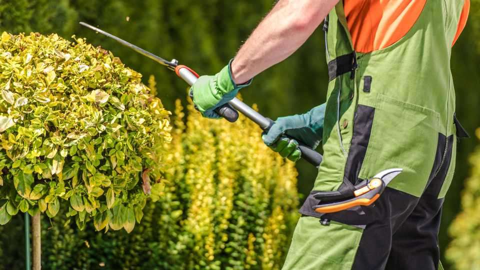 Combien coûte l’entretien d’un jardin à l’année ?