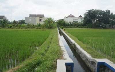 Drainage terrain : est-ce accessible sans professionnel ?