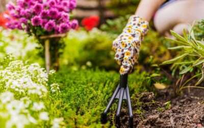 Que faire dans son jardin au printemps ?