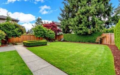 Quel budget pour refaire entièrement son jardin ?
